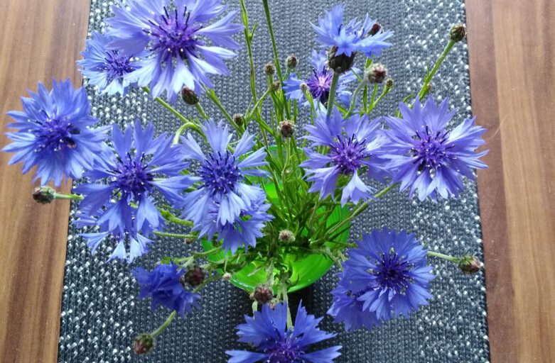 Kornblumenstrauss